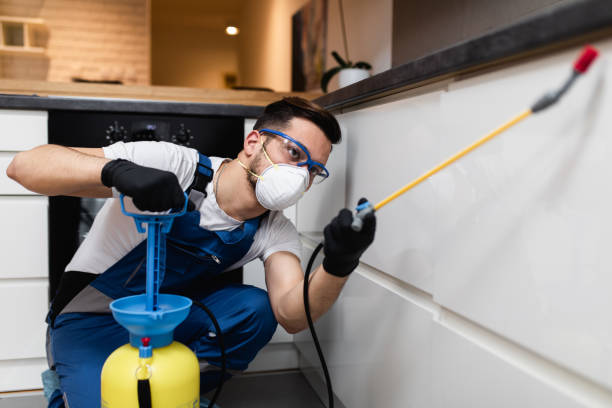 Best Commercial Pest Control Services  in Mystic, CT