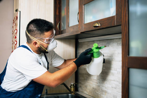 Best Flea Control Services  in Mystic, CT