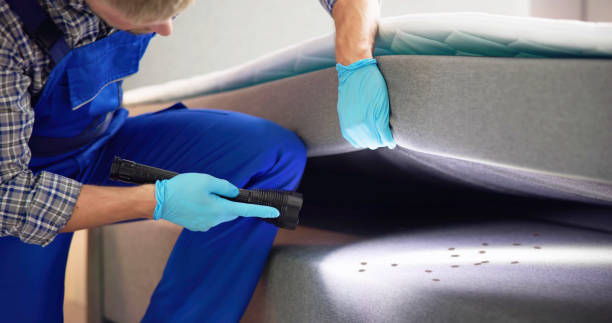 Best Best Pest Control Companies  in Mystic, CT